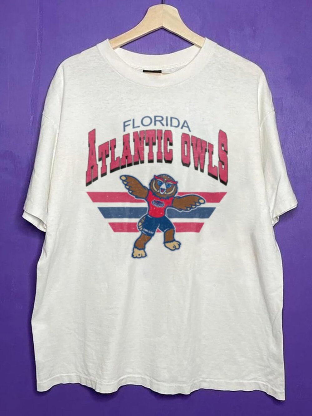 Vintage Florida Atlantic Owls Football Shirt, Florida Atlantic University Shirt